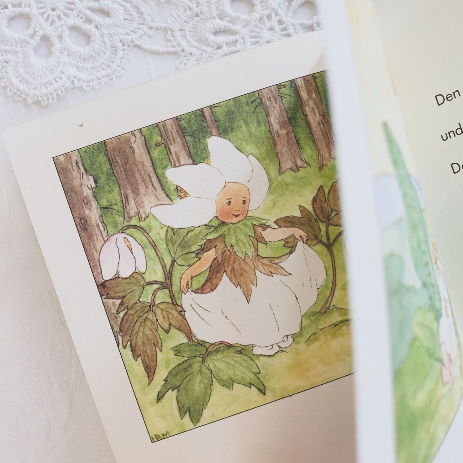 イーダボハッタ-花の妖精-小さなビンテージ絵本 Ida Bohatta