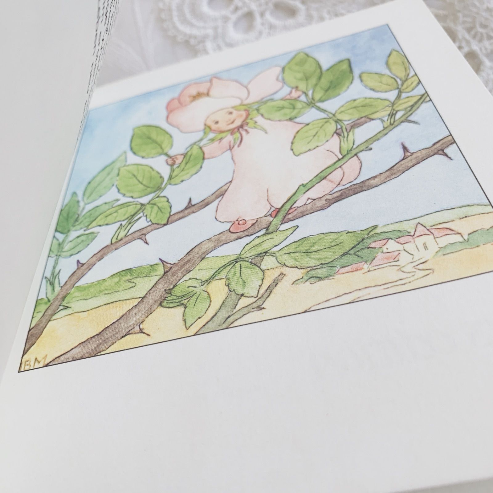 イーダボハッタ-花の妖精-小さなビンテージ絵本 Ida Bohatta