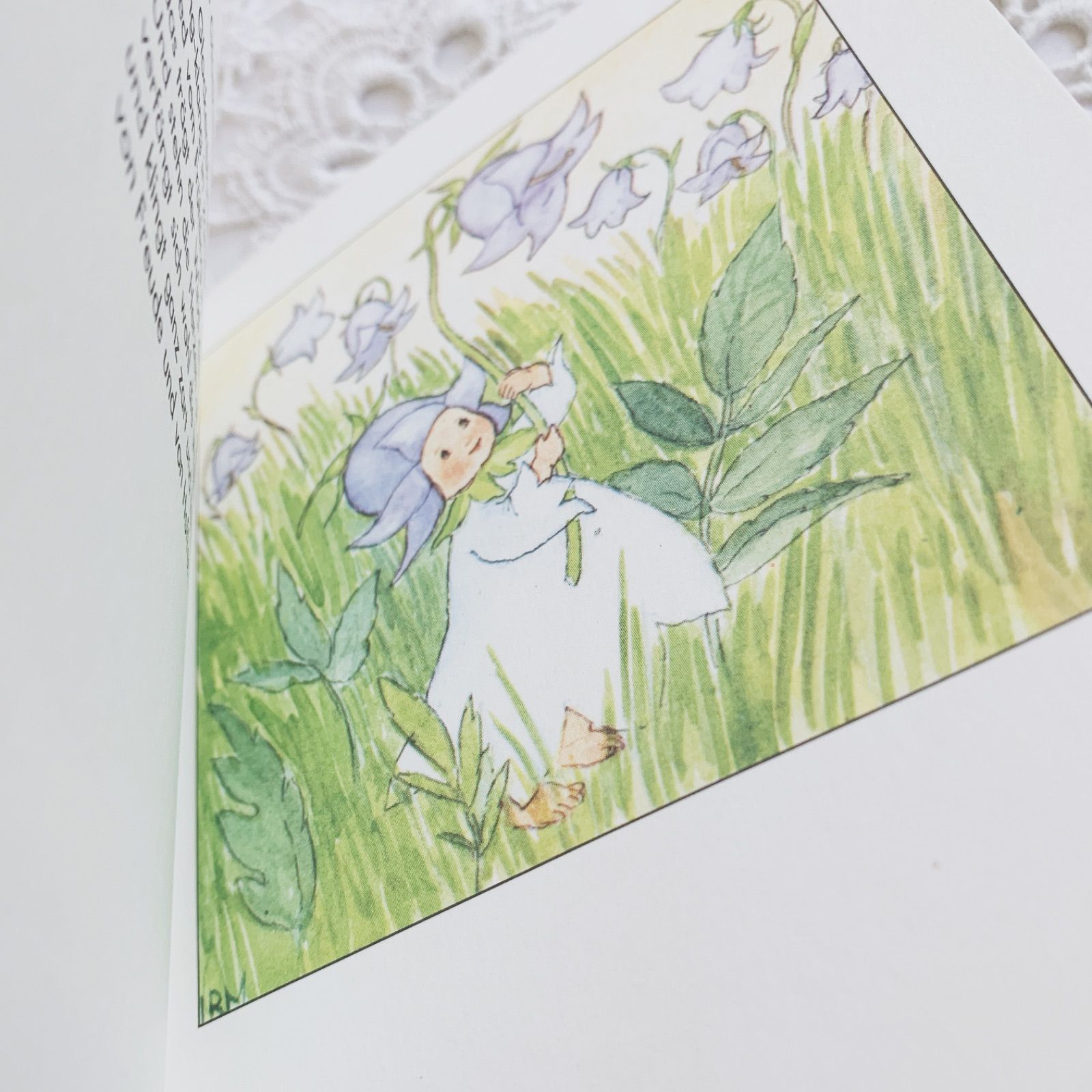 イーダボハッタ-花の妖精-小さなビンテージ絵本 Ida Bohatta