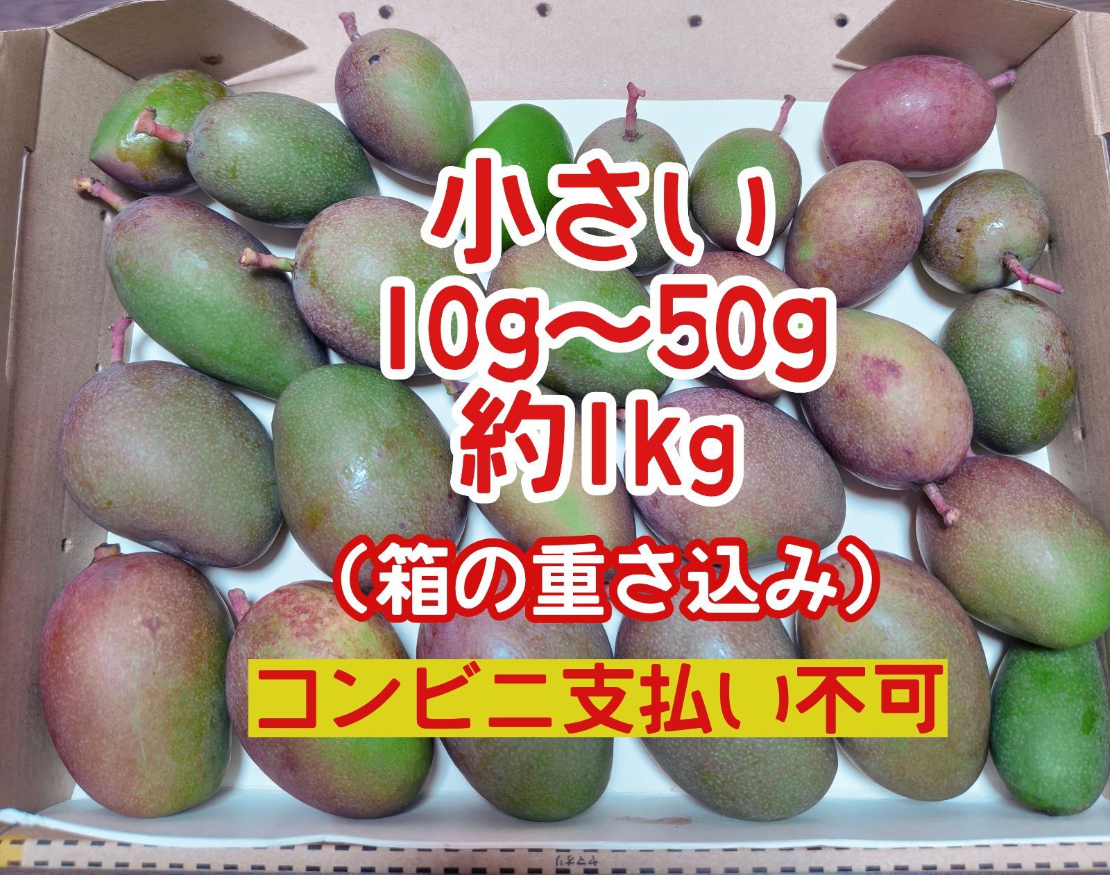 摘果マンゴー約9kg ★今年最後の出品です★ 摘果 未熟 加工用 マンゴー/ 約1㎏〈約10g～50g〉 - メルカリ