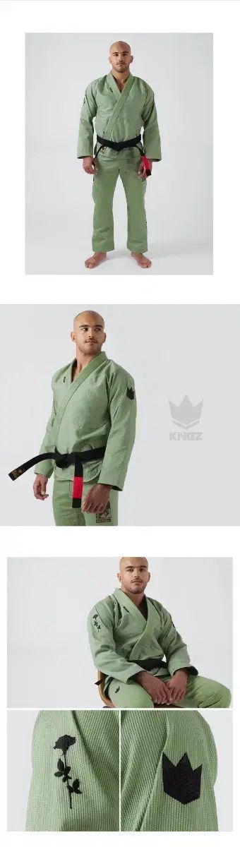 柔術 Jiu-Jitsu キングズ 限定モデル ジェントルアート アボカド グリーン A4 サイズ