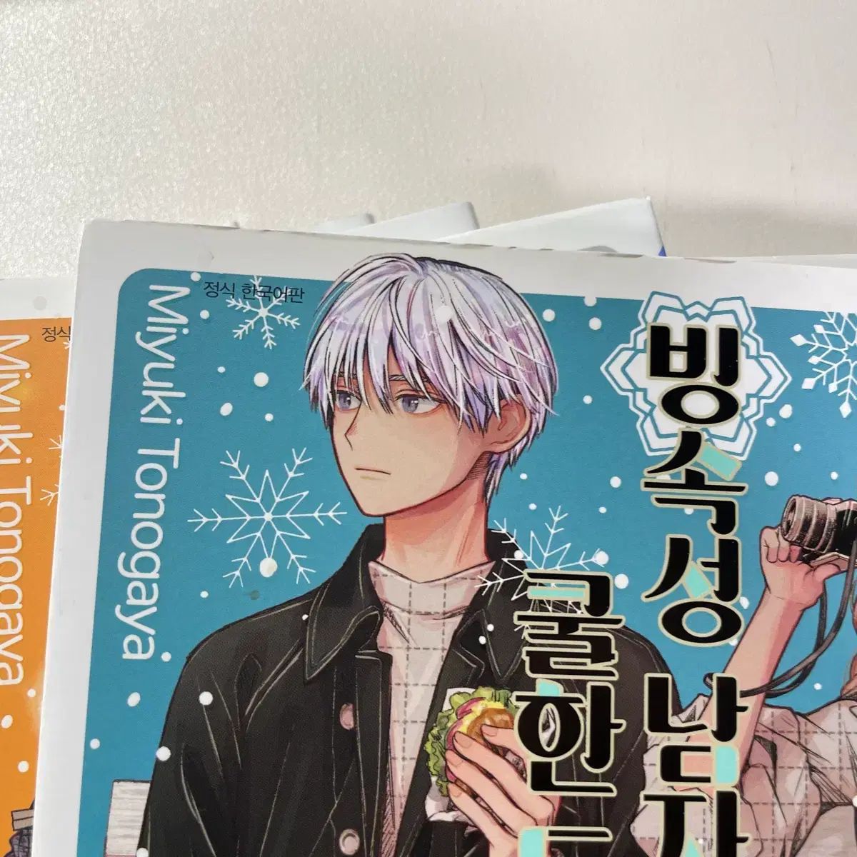 氷属性男 クールな同僚レディース 漫画 まとめ売り