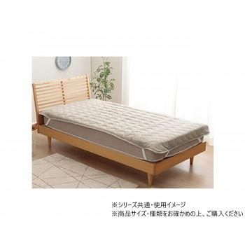 トレーディングカード デュエルマスターズ 刀志猫のプワソン 光夢龍