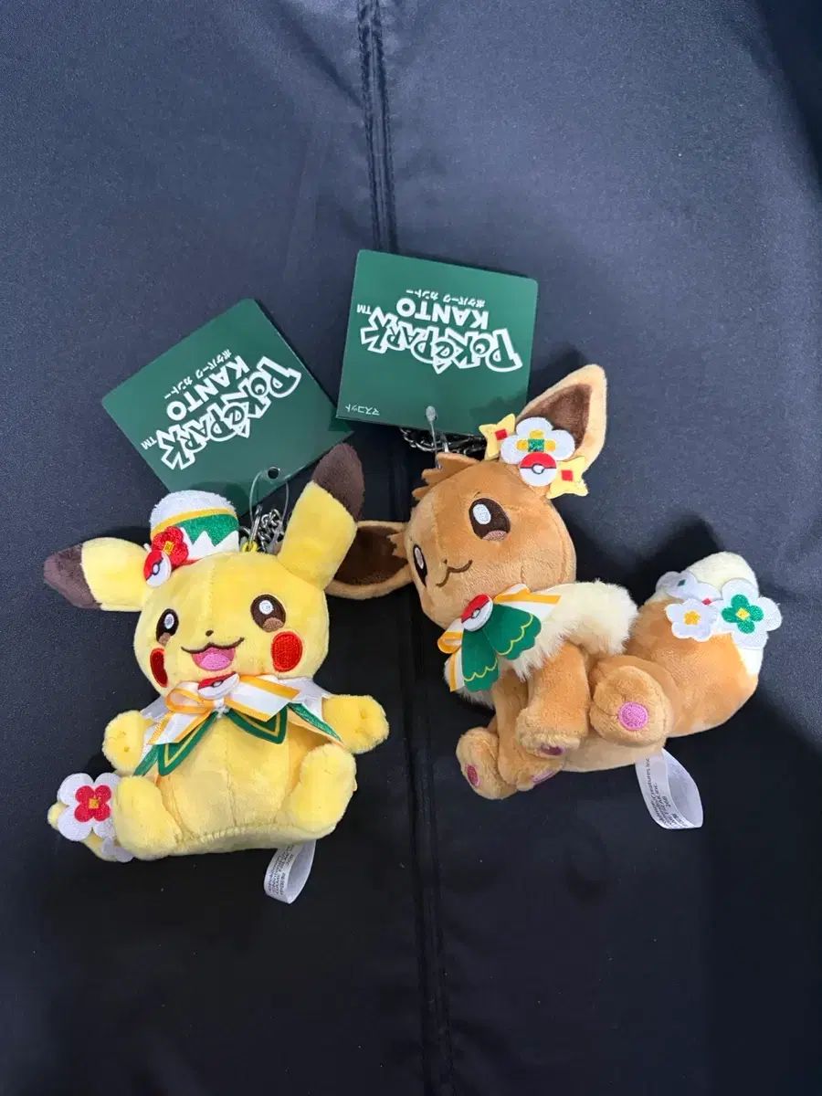 ポケモンセンター ポケパーク カントー限定 カーニバル イーブイ ピカチュウ ぬいぐるみ キーホルダー