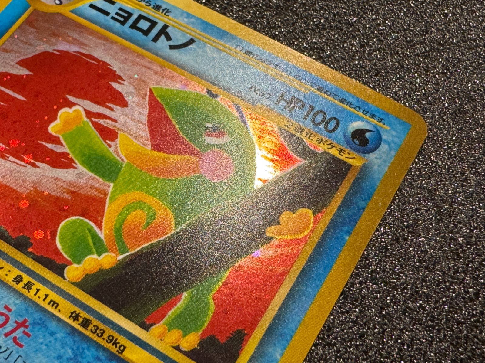 旧裏】ニョロトノ ☆ No.186 遺跡をこえて ポケモンカード【送料