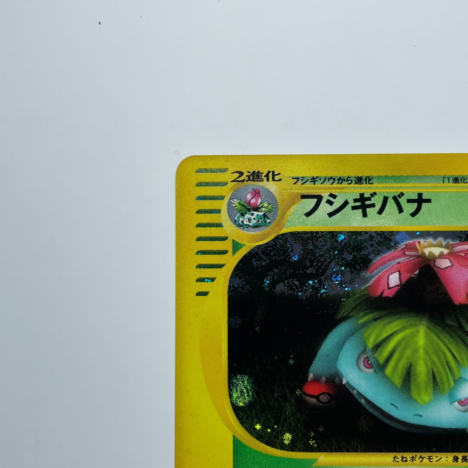 フシギバナ e-カードシリーズ第2弾 Venusaur e-Card Series 2 097/128