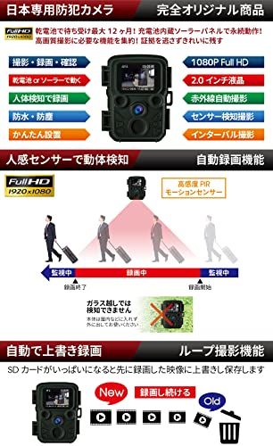 ハンファQセルズジャパン 【国内メーカー品】 Full HD 防犯カメラ トレイルカメラ 小型 屋外 防水 防塵 IP66対応 1080p対応 モーションのみ 赤外線LED 監視カメラ 動体検知 人感センサー 夜間対応 電池式 自動上書き録画 日本語説明書mt ハンファQセルズジャパン 【国内メーカー品】 Full HD 防犯カメラ トレイルカメラ 小型 屋外 防水 防塵 IP66対応 1080p対応 モーションのみ 赤外線LED 監視カメラ 動体検知 人感センサー 夜間対応 電池式 自動上書き録画 日本語説明書mt