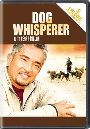 Dog Whisperer With Cesar Millan: Aggression [DVD]