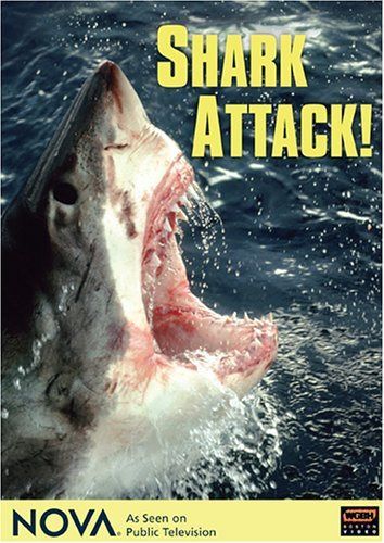 Nova: Shark Attack [DVD]