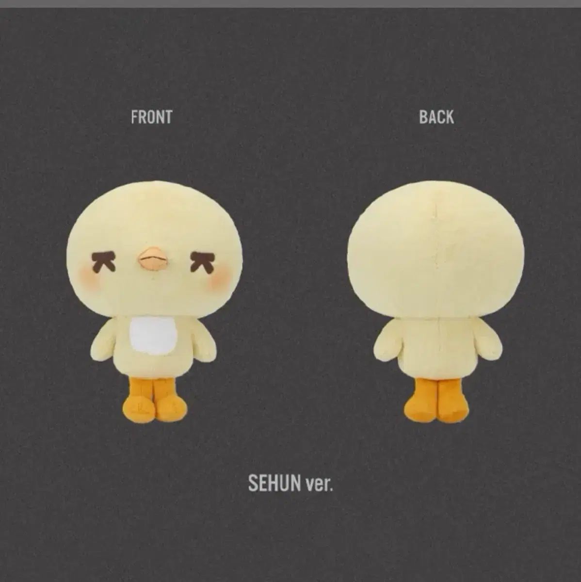 EXO セフン ハグ ぬいぐるみ オ・アリ Oh Sehun