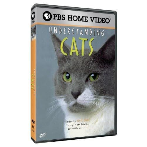 Understanding Cats [DVD] [Import]