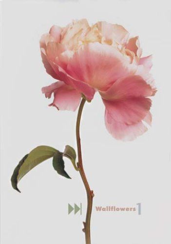 Wallflowers 1 [DVD]