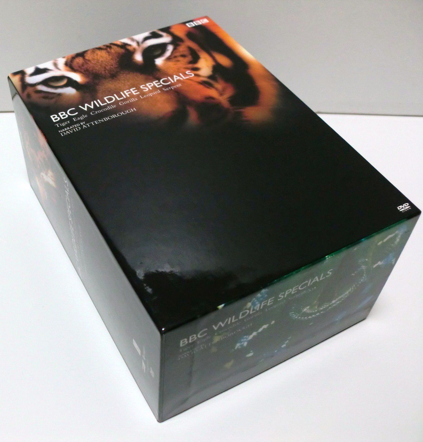 BBC ワイルド・ライフ スペシャル DVD BOX