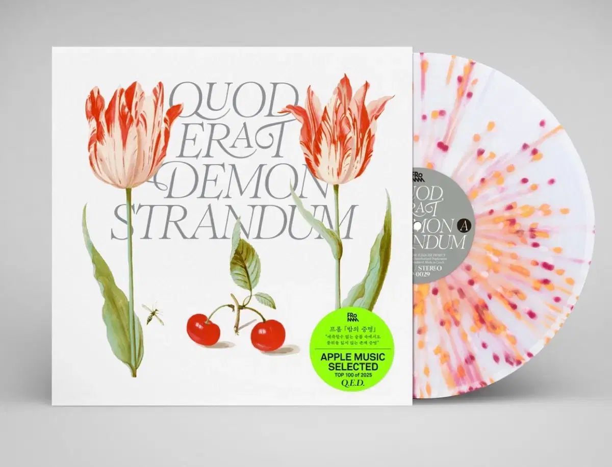 From ー Q E D （ Vinyl ） LP