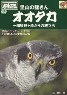 オオタカ 那須野ヶ原からの旅立ち 《DVDネイチャーシリーズ 野生の王国》 [DVD]