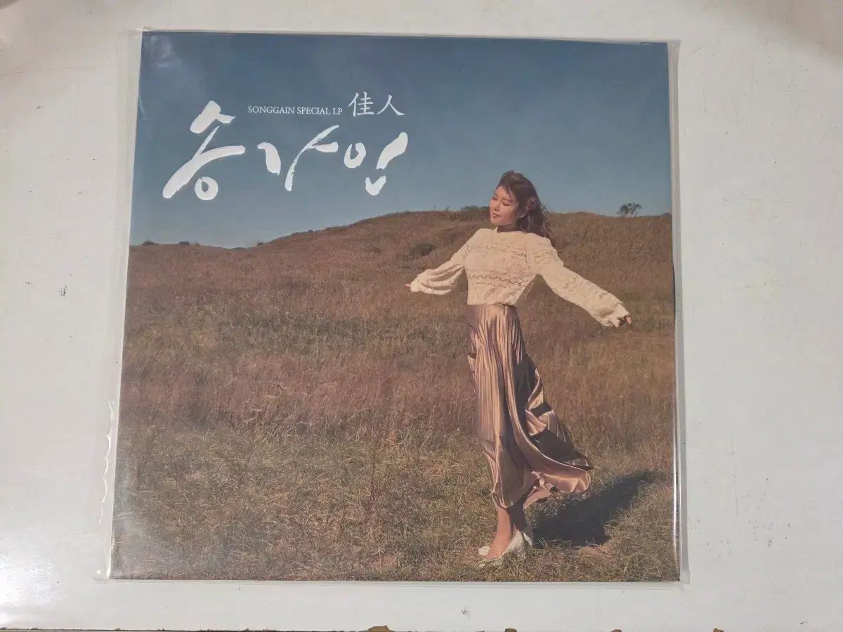 ソン・ガイン スペシャル LP アルバム