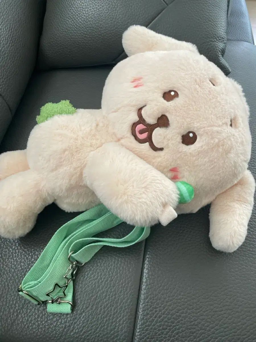 댕트리버 バッグ 出品