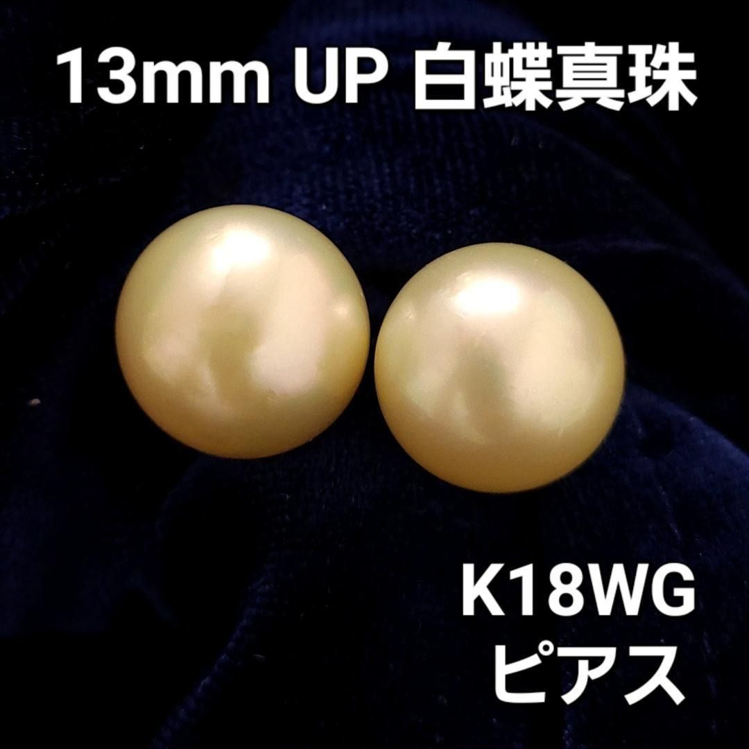 13mm UP 白蝶 真珠 ゴールデンパール K18WG ピアス 本真珠 鑑別