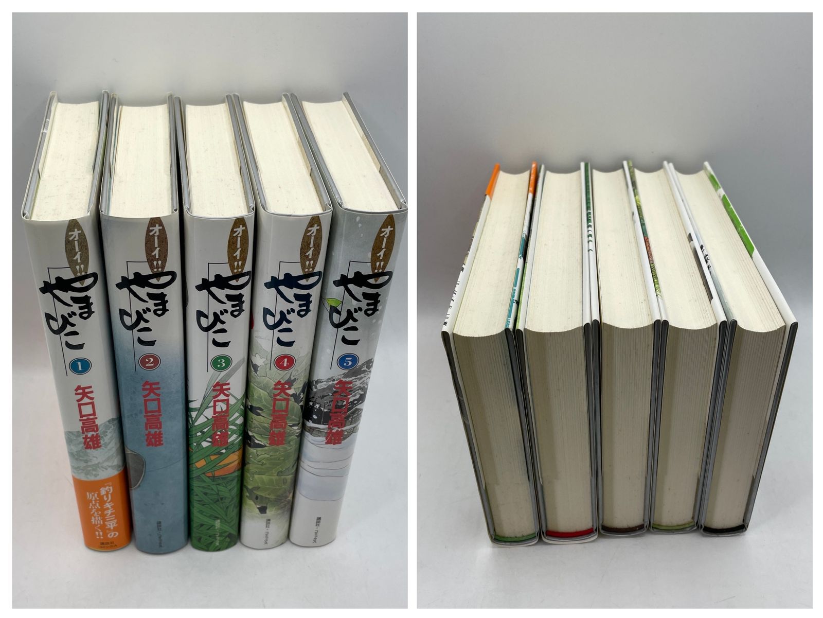 全巻セット】 オーイ!!やまびこ 全1～5巻 矢口高雄 講談社コミックス