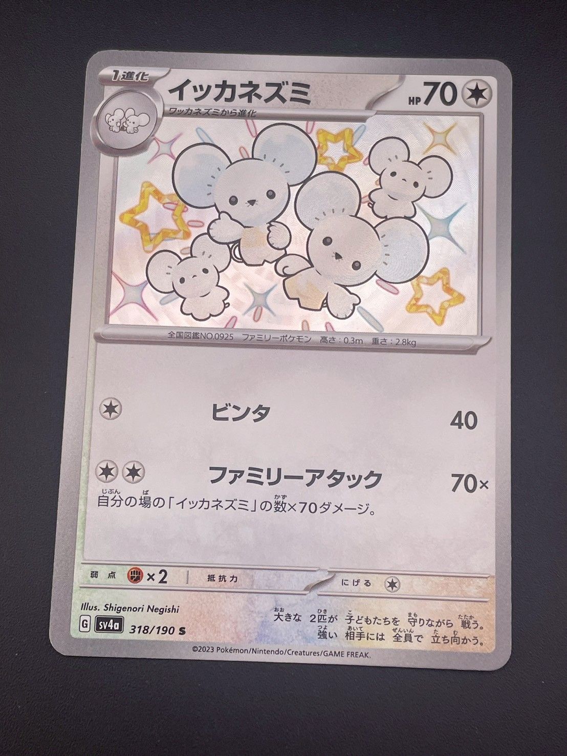 中古品】イッカネズミ318/190 S sv4aスカーレット＆バイオレット