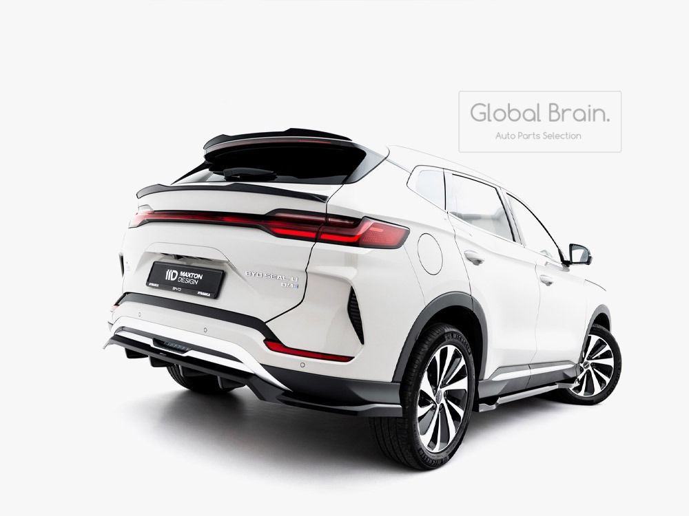 BYD シーライオン6 リア ディフューザー