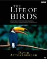 BBC ライフ・オブ・バーズ/鳥の世界 DVD-BOX