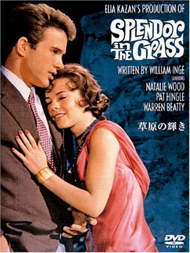 草原の輝き [DVD]