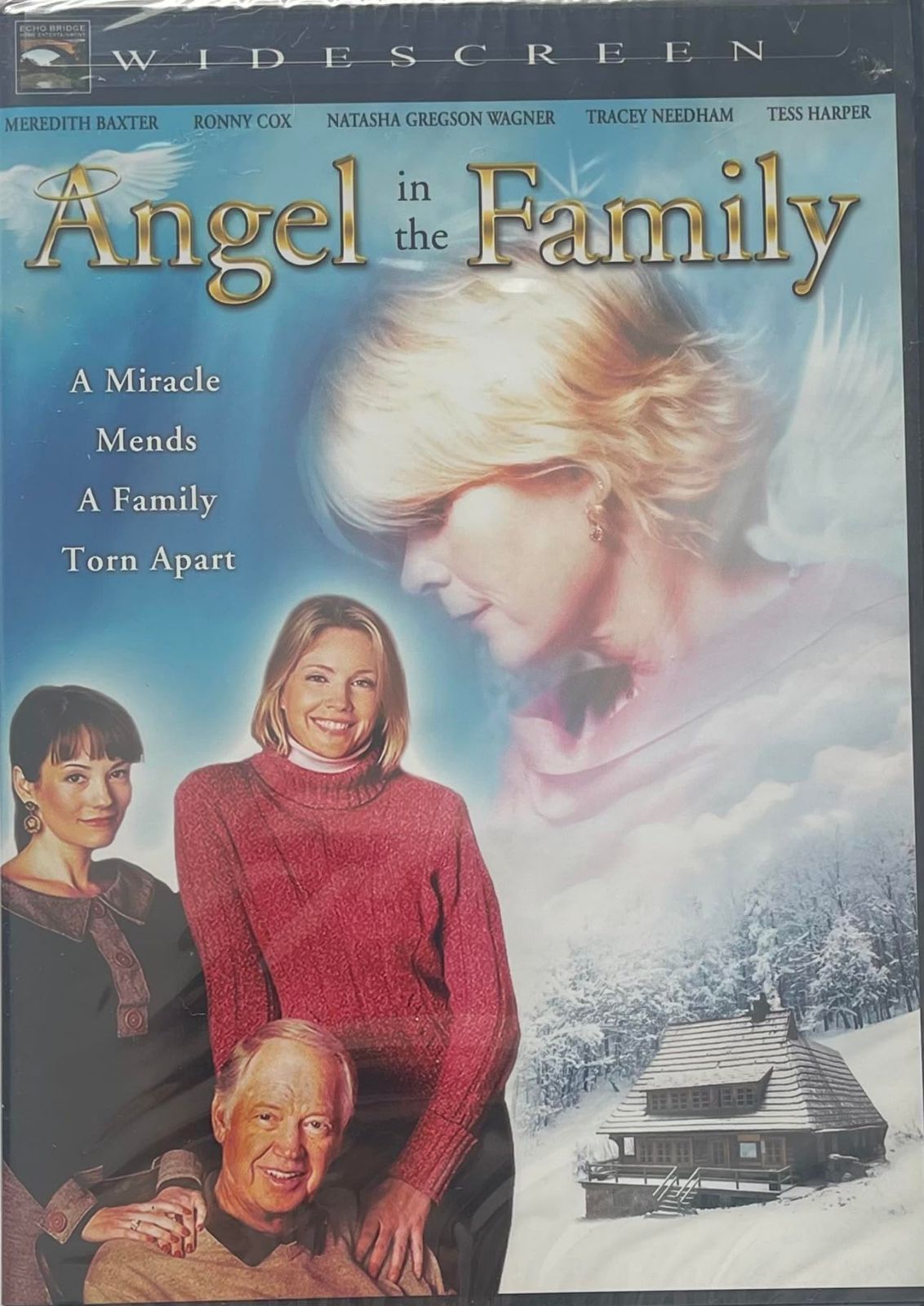 Angel in the Family [DVD]
