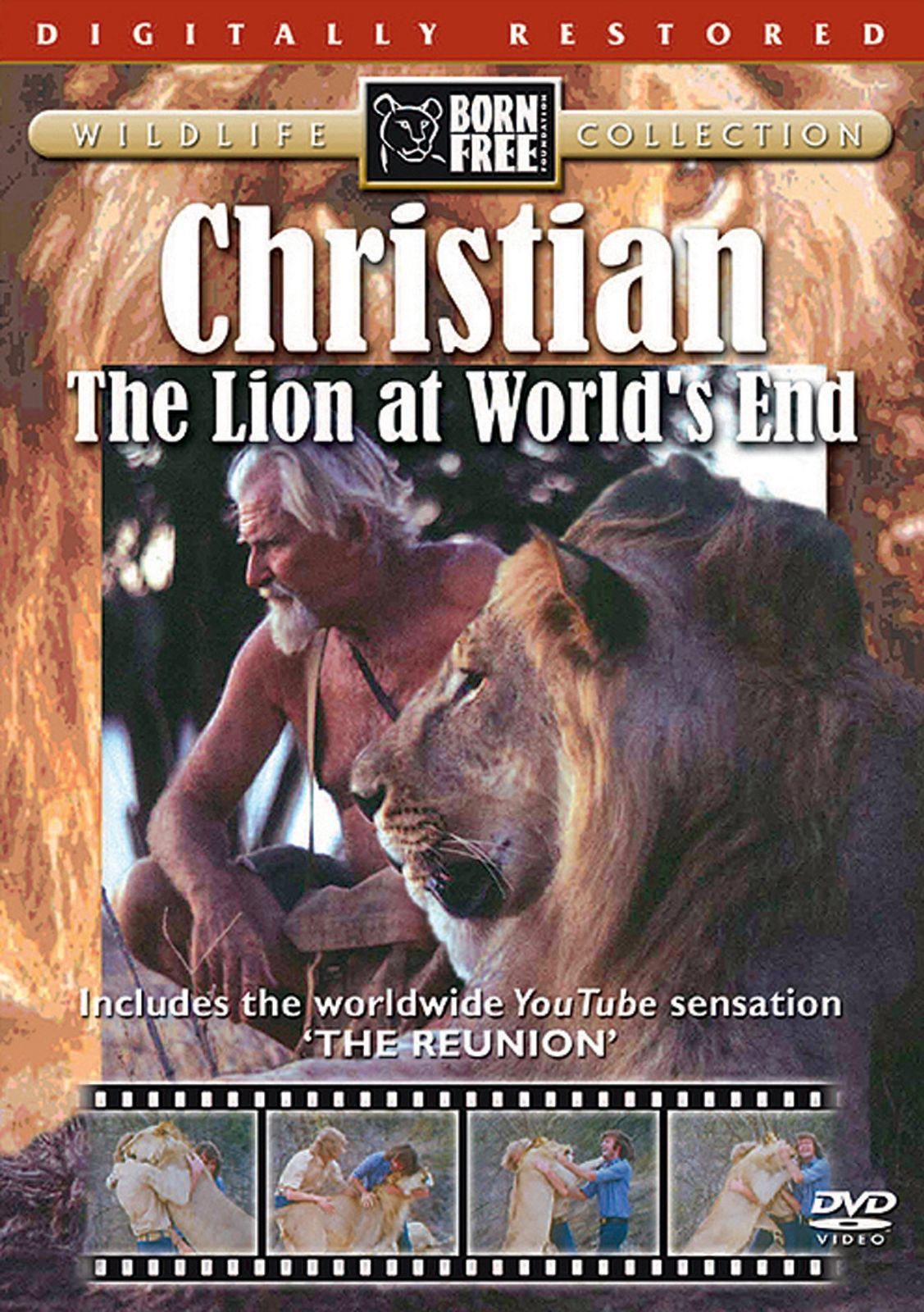 Christian Lion: Lion at World'S End [DVD]
