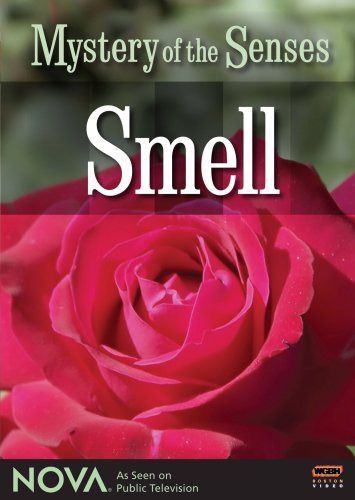 Nova: Mystery of the Senses - Smell [DVD]