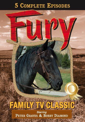 Fury [DVD]
