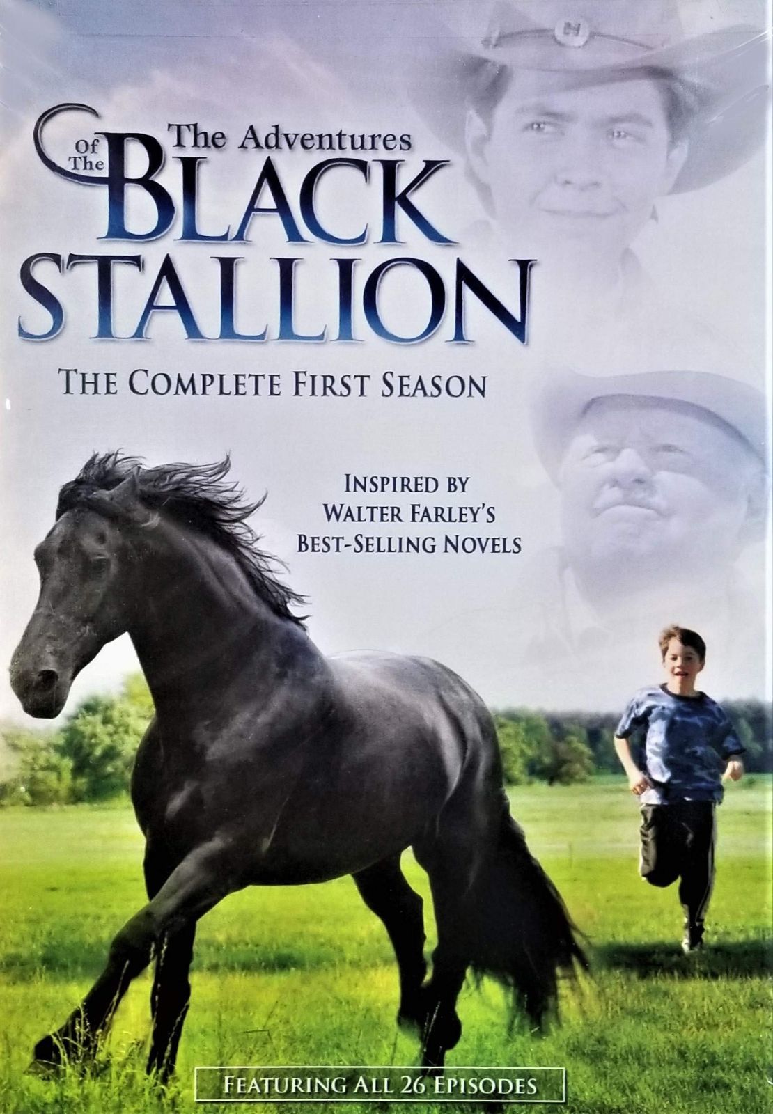 Adventures of Black Stallion: First Season [DVD]