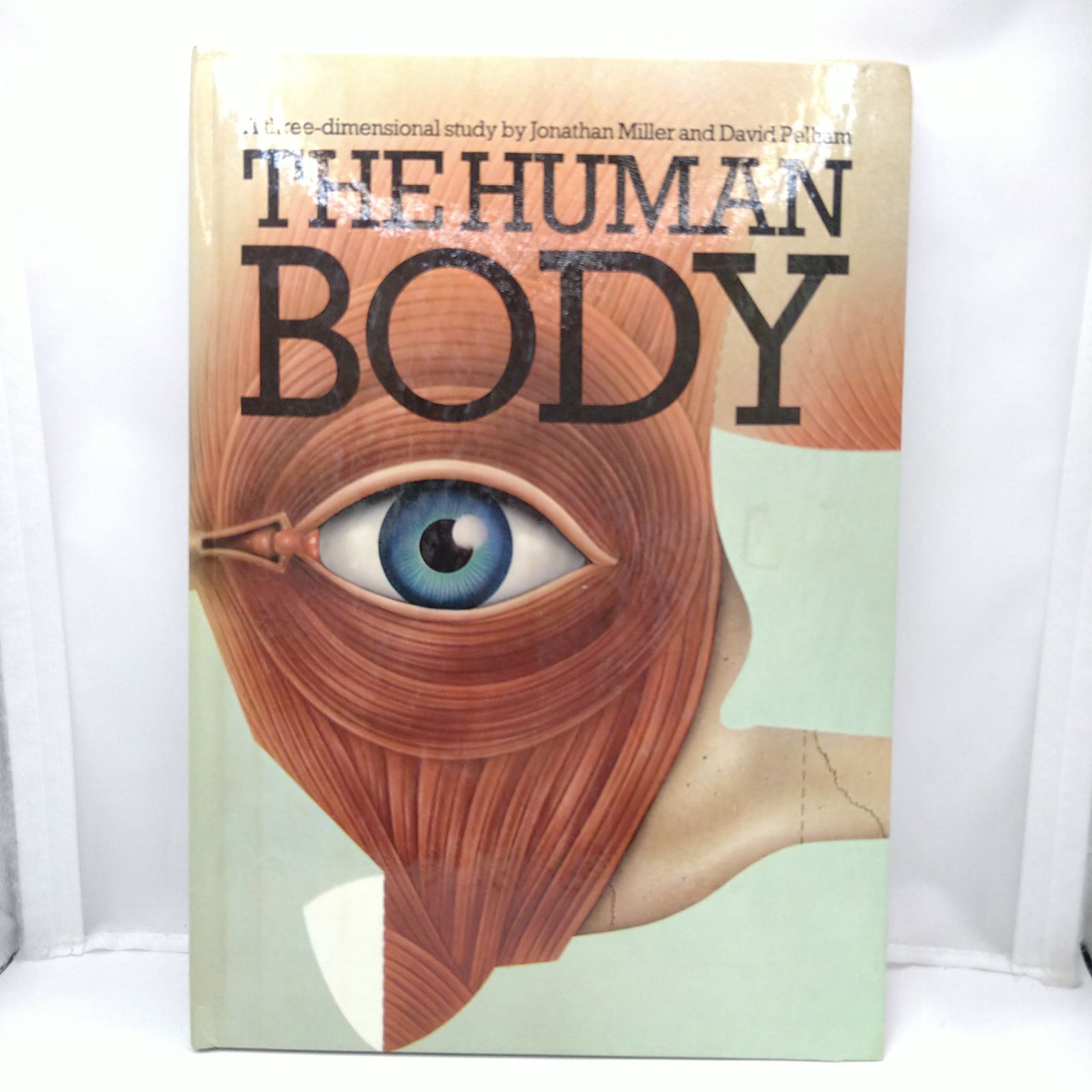 ヴィンテージ飛び出す絵本　人間の体　The Human Body メルカリ