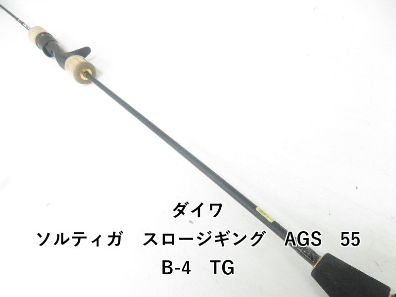 ダイワ ソルティガ　スロージギング　AGS　55B-4　TG (04-9406250001)