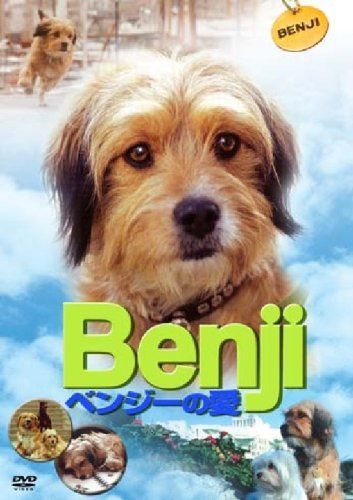 ベンジーの愛