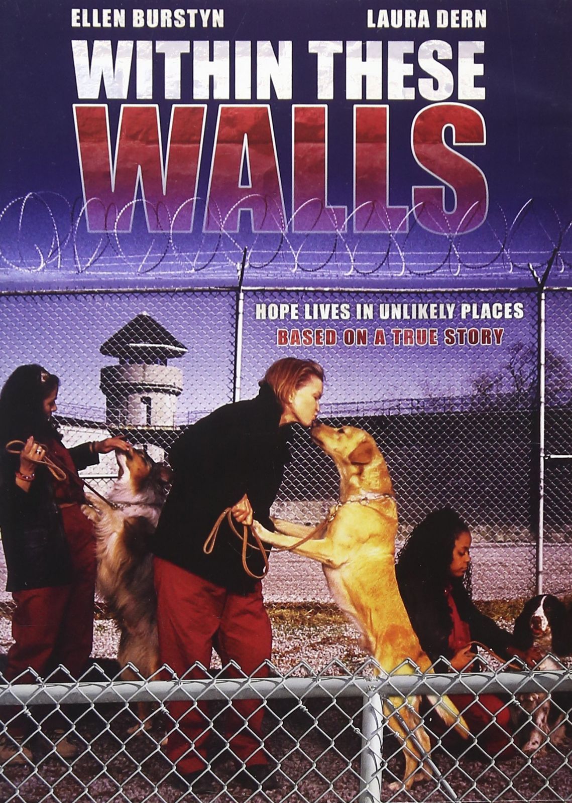 Within These Walls [DVD]