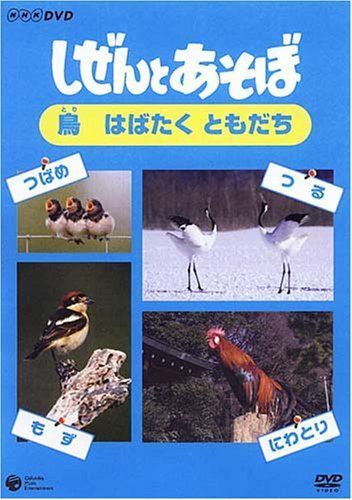 しぜんとあそぼ ~鳥 はばたく ともだち~ [DVD]