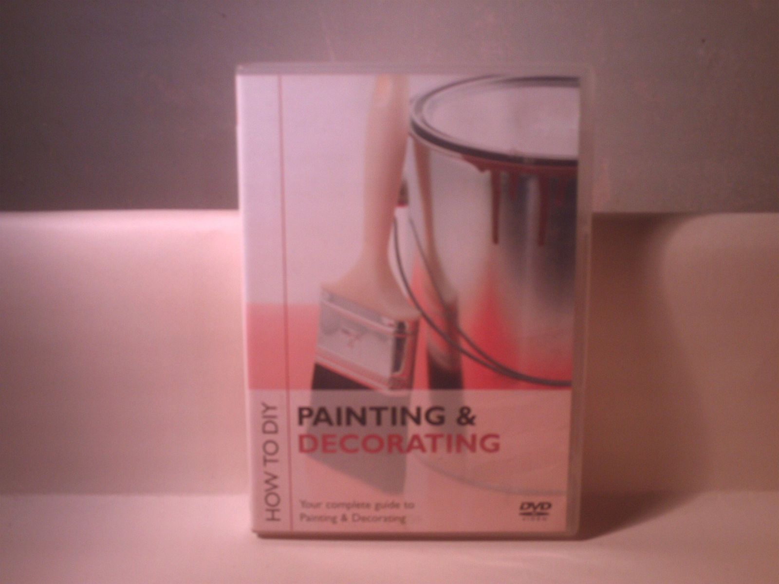 Painting & Decorating: How to Diy [DVD]