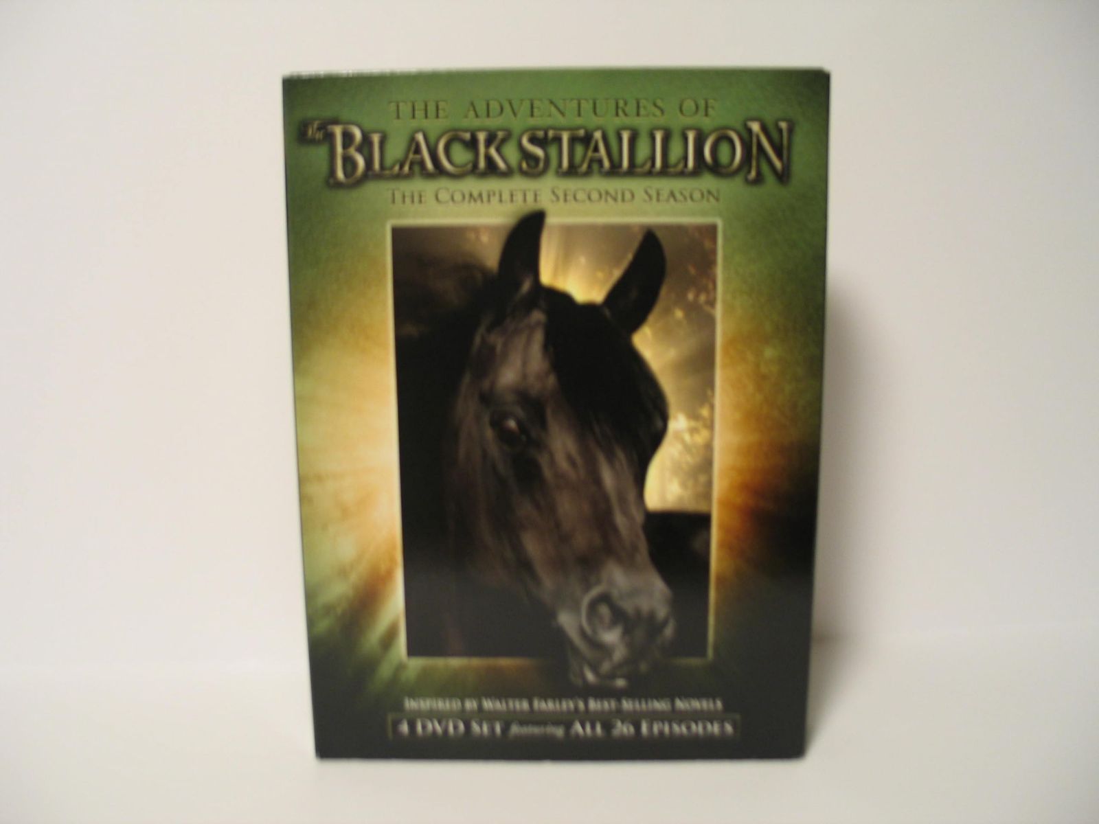 Adventures of Black Stallion: Second Season [DVD]