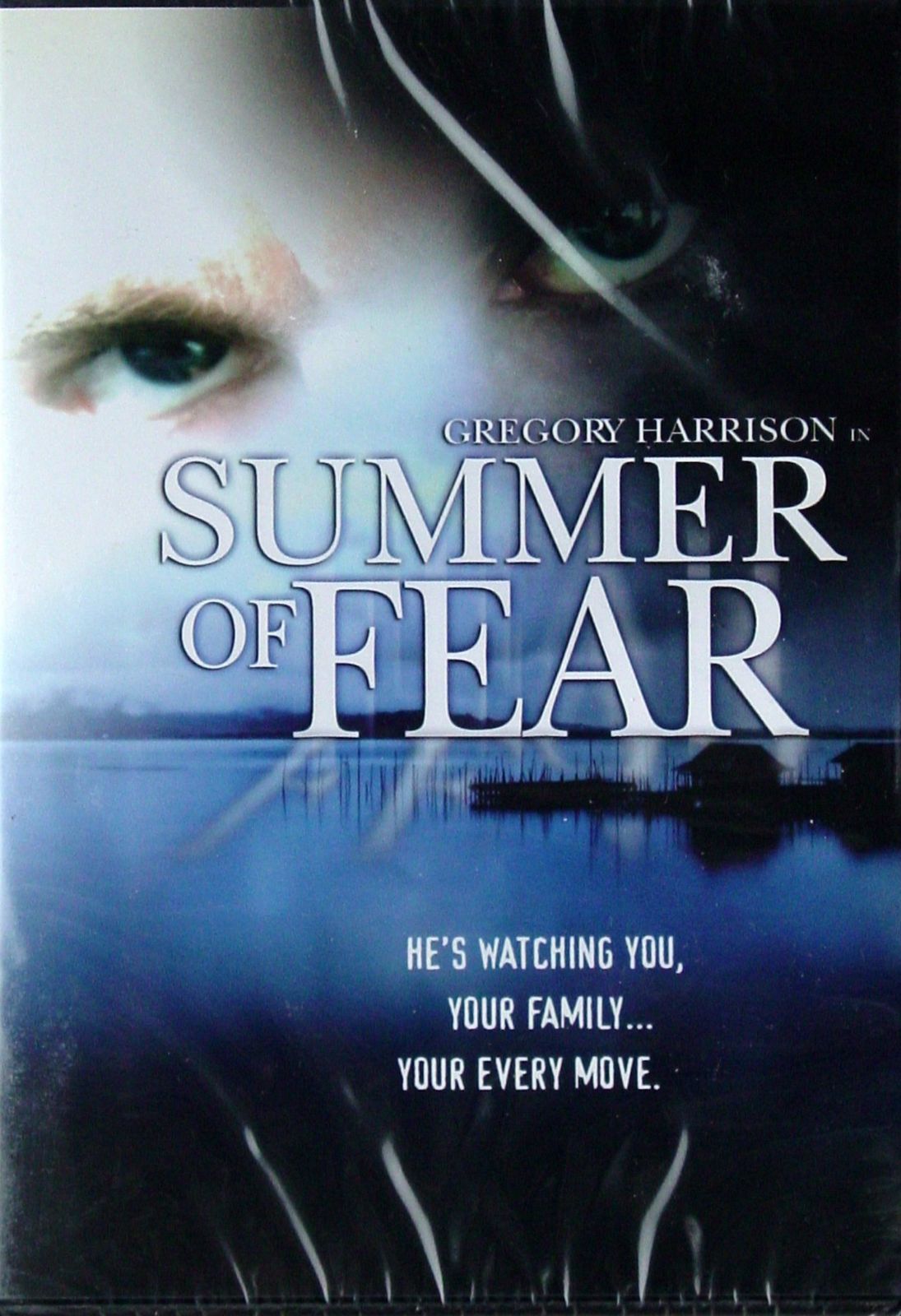 Summer of Fear [DVD]