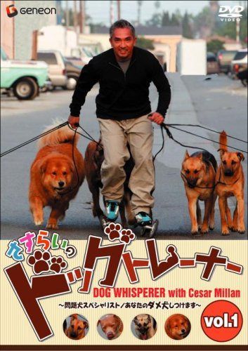 さすらいのドッグトレーナー Vol.1~問題犬スペシャリスト/あなたのダメ犬しつけます~ [DVD]