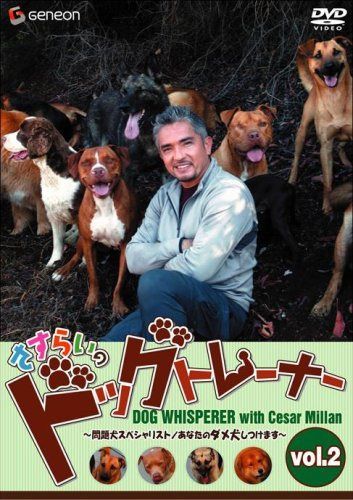 さすらいのドッグトレーナー Vol.2~問題犬スペシャリスト/あなたのダメ犬しつけます~ [DVD]