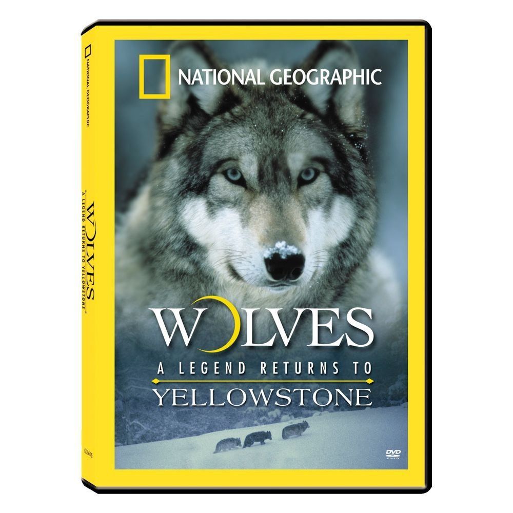 Wolves: A Legend Returns to Yellowstone [DVD]