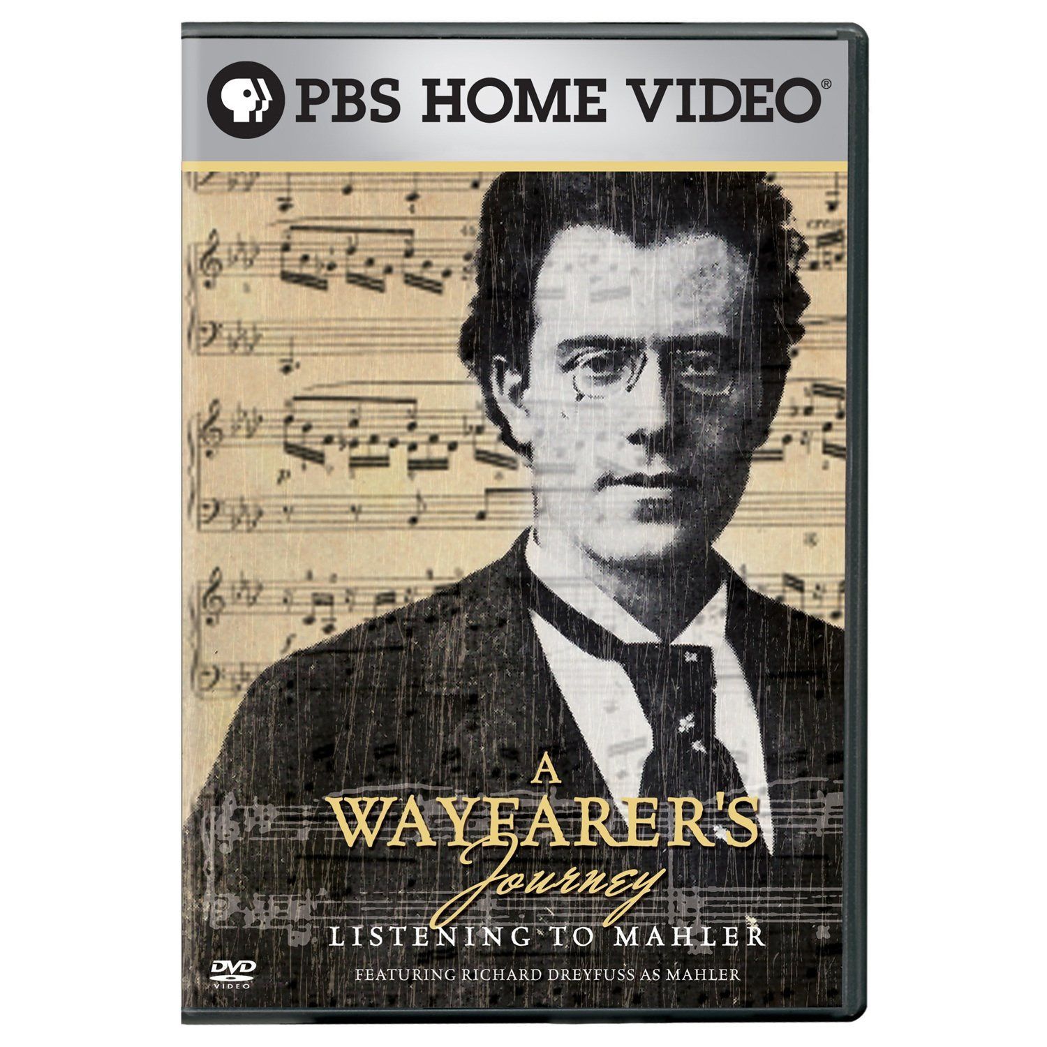 Wayfarer's Journey: Listening to Mahler [DVD]