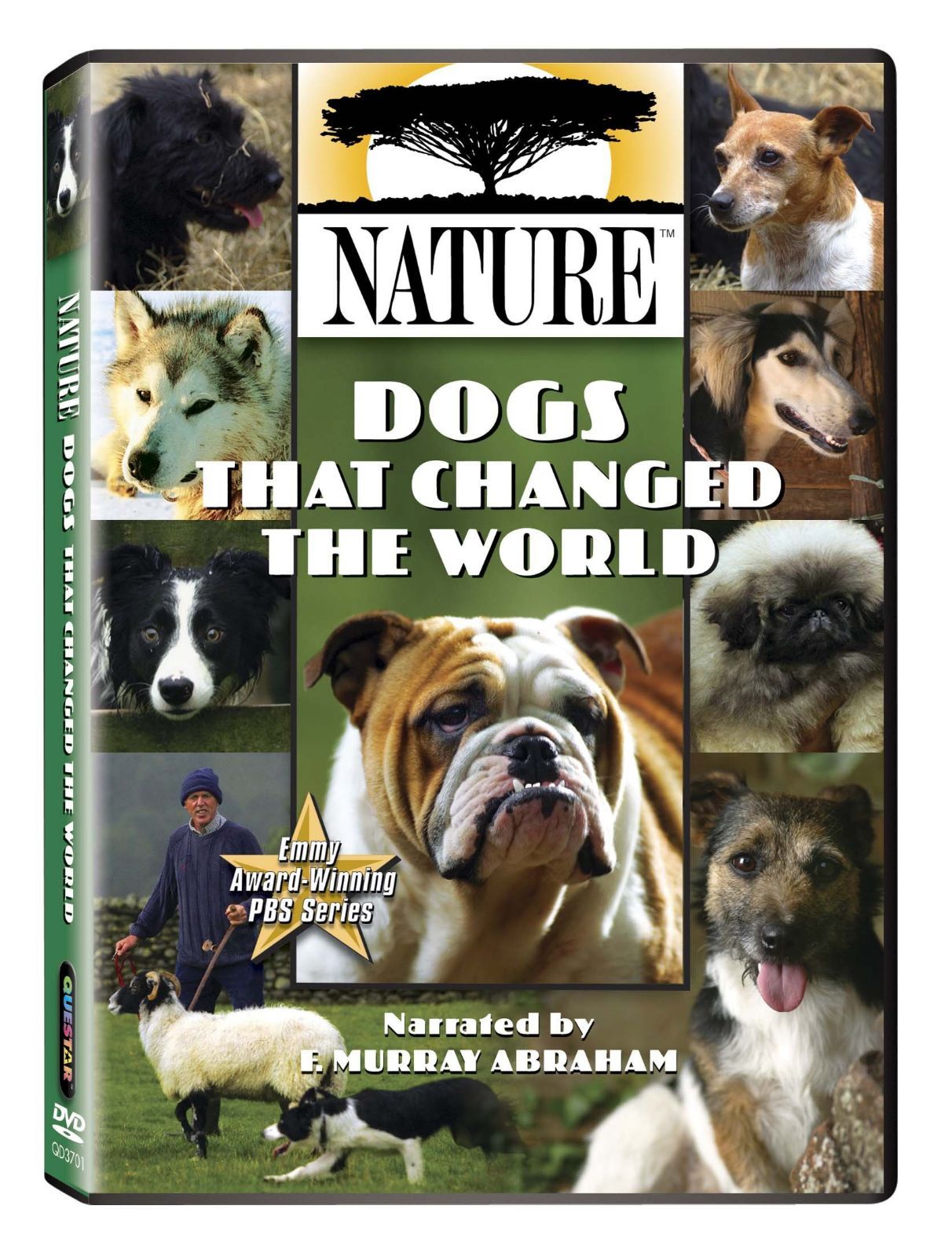 Nature: Dogs That Changed the World [DVD] 8,359円