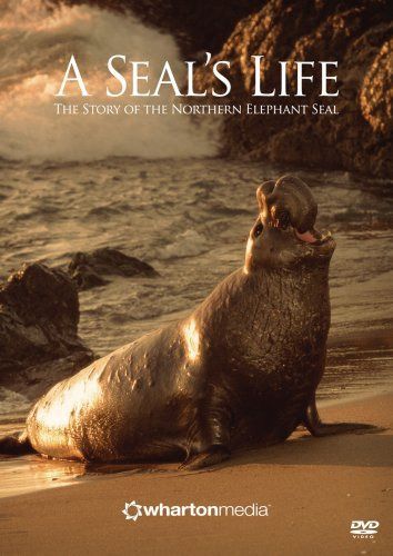 Seal's Life [DVD]