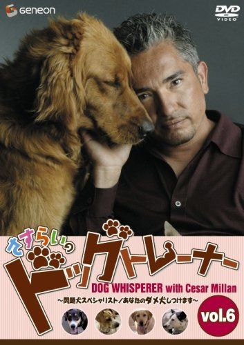 さすらいのドッグトレーナー Vol.6~問題犬スペシャリスト/あなたのダメ犬しつけます~ [DVD]