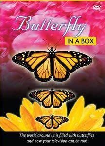 Butterfly in a Box [DVD]