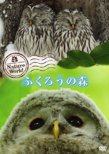 ネイチャー・ワールド ふくろうの森 [DVD]