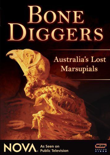 Nova: Bone Diggers [DVD]